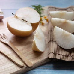 20th Century (Nijisseiki) Asian Pear -Fast Growing Trees 20thCentury Pear 1 FGT