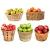 5-in-1 Apple Tree -Fast Growing Trees 5 in 1 Apple 600x600 7aa95aa9 ebc1 4f49 a1e8 94e9b1d7155c