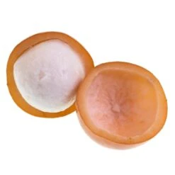 Achacha Fruit Tree -Fast Growing Trees Achacha 2