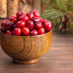 American Cranberry -Fast Growing Trees American Cranberry 6 FGT