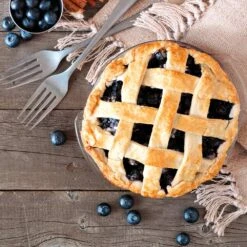 Aurora Blueberry Bush - USDA Organic -Fast Growing Trees Aurora Blueberry 5 112457a4 3811 4866 87c8 269c657283bf