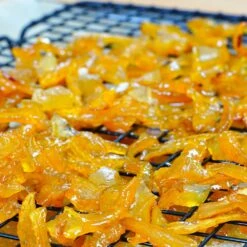 Buddha's Hand Citron -Fast Growing Trees BUddhas Hand Citrus 5