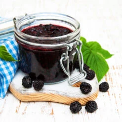 Big Daddy Blackberry Bush 9 Big Daddy Blackberry Bush -Fast Growing Trees Big Daddy Blackberry 3