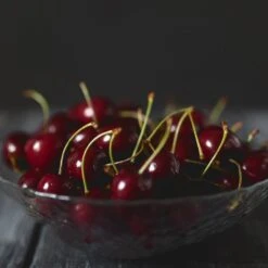 Black Tartarian Cherry Tree -Fast Growing Trees Black Tartarian Cherry Tree 2 FGT