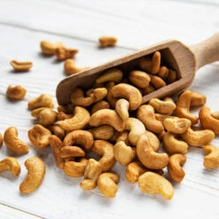 Cashew Tree -Fast Growing Trees Cashew Nut Tree 5