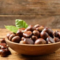 Chinese Chestnut Tree -Fast Growing Trees Chinese Chestnut 3 FGT