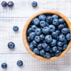 Climax Blueberry - USDA Organic -Fast Growing Trees Climax Blueberry 4 6dff9fe5 d11c 4867 ac6f bf49cd37acb5