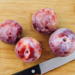 Dapple Dandy Pluot Tree -Fast Growing Trees Dapple Dandy 2