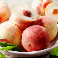 Early White Giant Peach Tree -Fast Growing Trees Early White Giant Peach Tree 450 D1