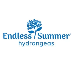 Endless Summer® Summer Crush® Hydrangea -Fast Growing Trees Endless Summer Hydrangeas 1000x1000 347a4889 45a5 42f4 94f1 e0220955e380
