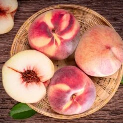 Indian Free White Peach Tree -Fast Growing Trees Indian Free Peach 3 FGT