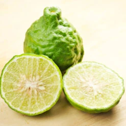 Kaffer 'Kieffer' Lime Tree -Fast Growing Trees Kaffir Lime 7 FGT