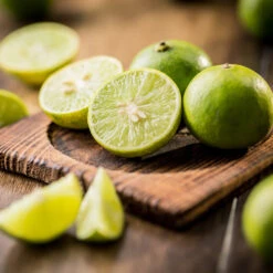 Key Lime Tree - USDA Organic -Fast Growing Trees Key Lime Tree 5 FGT da9b0536 ead5 46ca b8b5 d82cfb777942