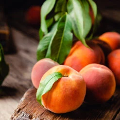 Fast Growing Trees -Fast Growing Trees Multi fruit peach 3