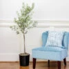 Oliana Olive Tree -Fast Growing Trees Oliana Olive 600x600 6f3a3c9f e168 44ff aa92 eb7e474a89dc