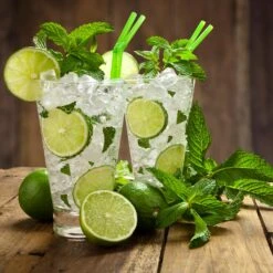 Persian 'Bearss' Lime Tree - USDA Organic -Fast Growing Trees Persian Lime Tree 4 FGT 3e2376b1 dd45 4777 a1e5 8c0e252ea773