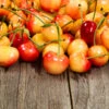 Rainier Cherry Tree -Fast Growing Trees Rainier Cherry Tree FGT 600x600 1094475e 5dab 4191 8167 5c5a6519bb91
