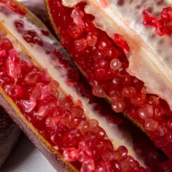 Red Finger Lime Tree -Fast Growing Trees Red FInger Lime 1 1453b836 c1a1 4844 92f1 11e49d09cc4d