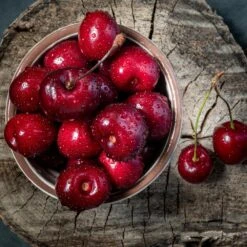 Santina™ Cherry Tree -Fast Growing Trees Santina Cherry 1