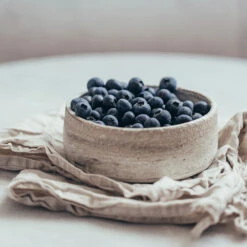 Sharpblue Blueberry Bush -Fast Growing Trees Sharpblue Blueberry 1