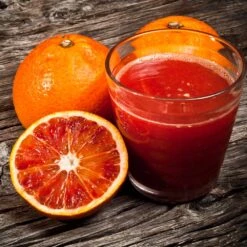 Smith Red Orange -Fast Growing Trees Smith Red Orange 3 FGT