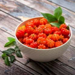 Star Cherry Tree (Pitanga) -Fast Growing Trees Star Cherry 3 FGT