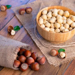 Theta Filbert Hazelnut -Fast Growing Trees THeta FIlbert Hazelnut 4