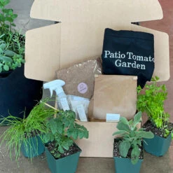 Patio Tomato Garden -Fast Growing Trees Tomato Garden kit 2
