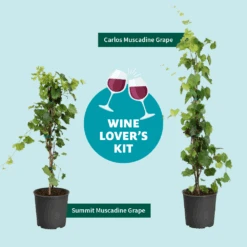 Wine Lover's Kit -Fast Growing Trees WineLoversKitGraphic 2