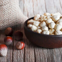 York Filbert Hazelnut -Fast Growing Trees York Hazelnut 5